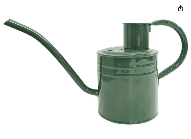 1L Indoor Watering Can